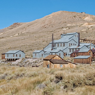 Bodie